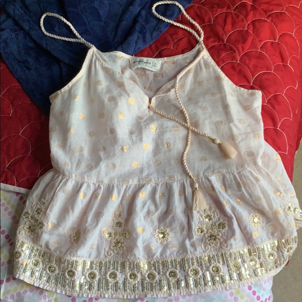 Abercrombie Sequin Embroidered Top